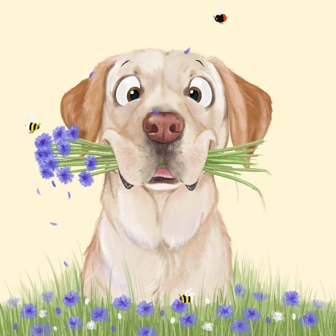 Изображения по запросу Dog With Flowers