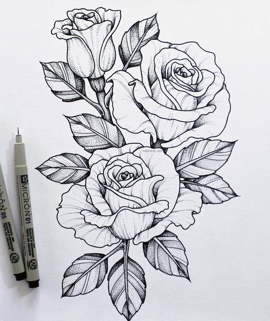 Рисунки цветы розы для срисовки - 47 фото