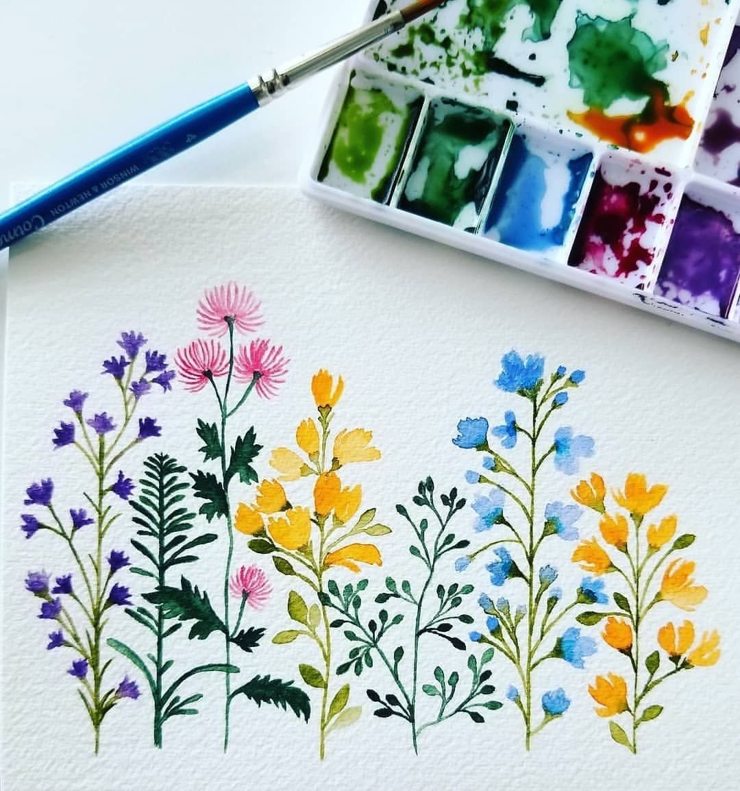 Картинки цветов для срисовки красками (58 фото) 🔥 Прикольные картинки и юмор