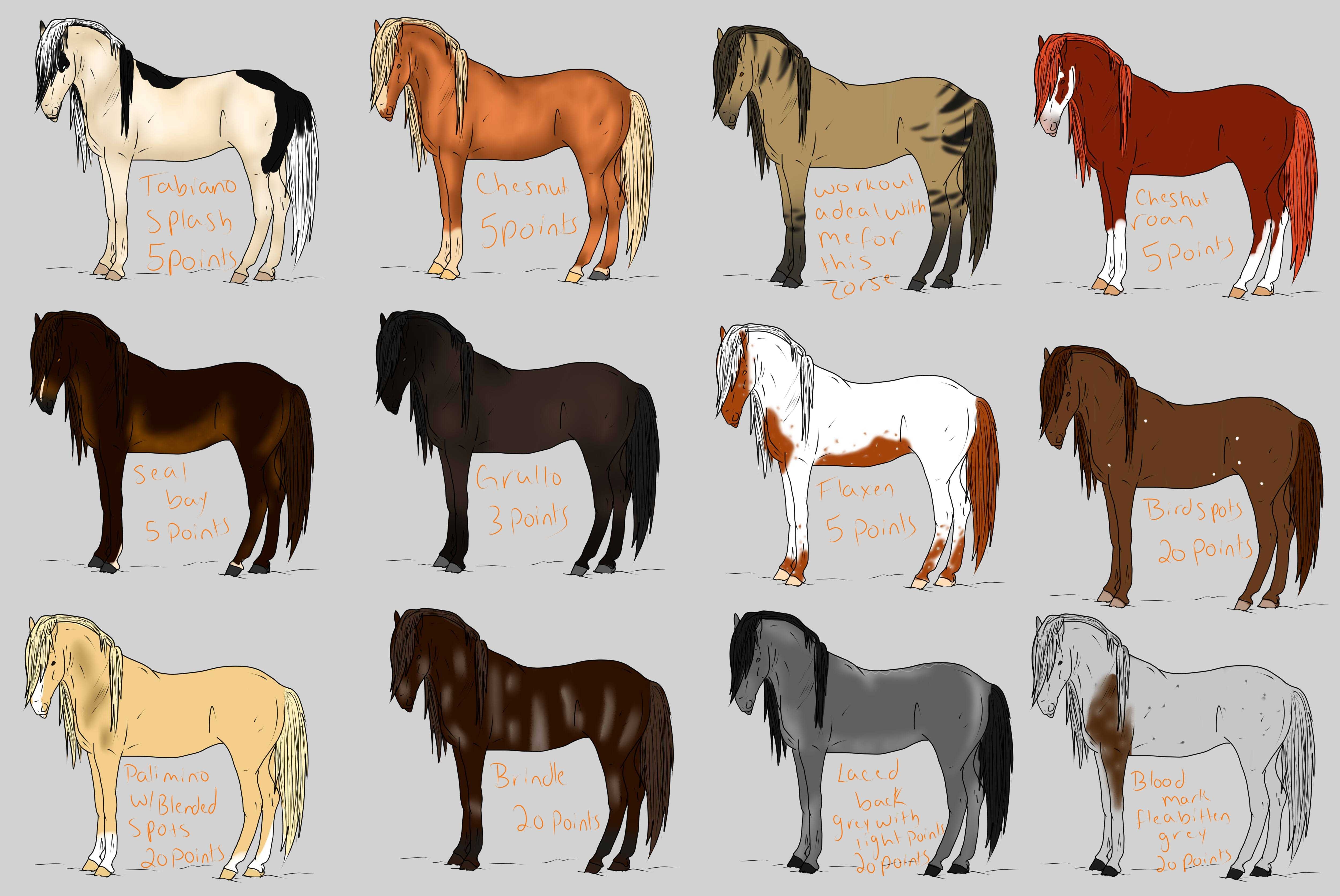 Породы лошадей рисунок