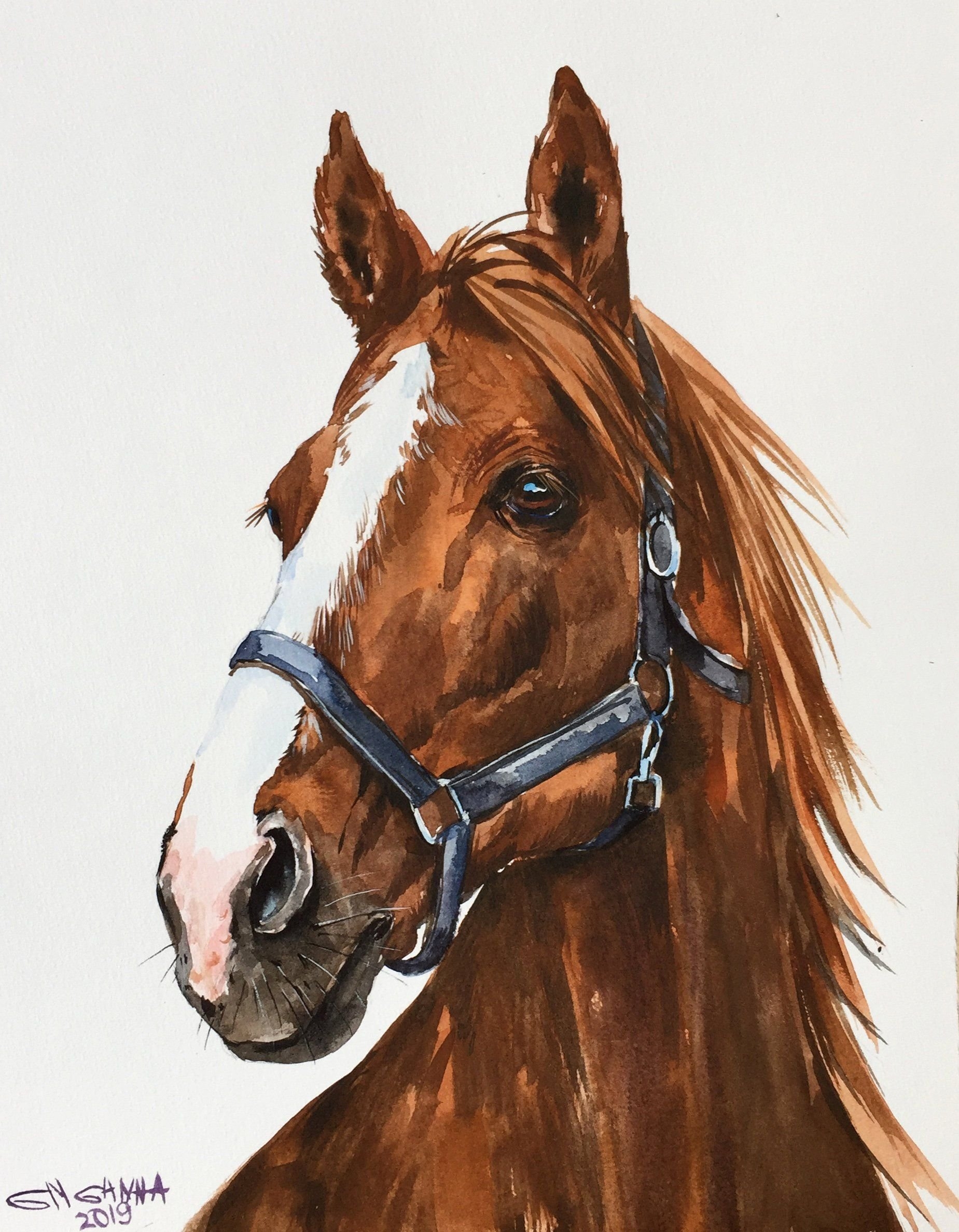 Морда лошади рисунок красками - 73 фото