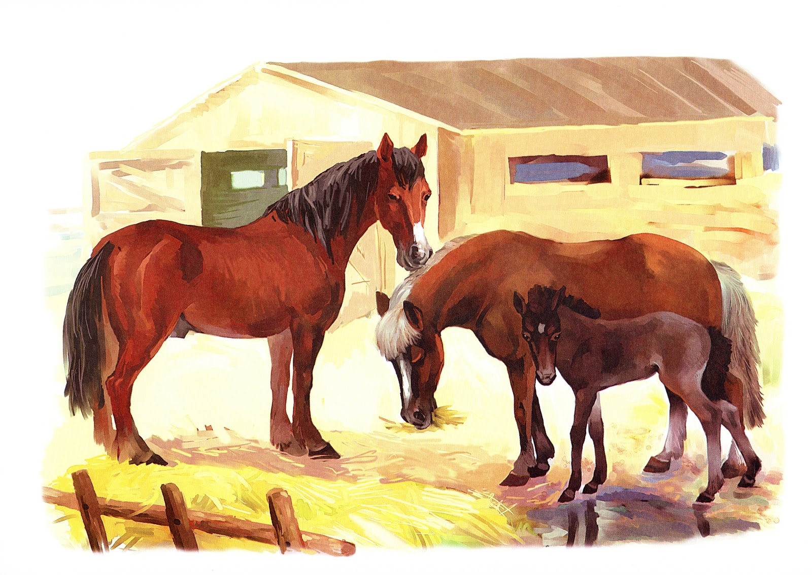 Конспект занятия лошадки. Лошадь с жеребенком. Лошадь жеребенок домашнее животное. Семья лошадей. Лошадь с жеребенком для детей.