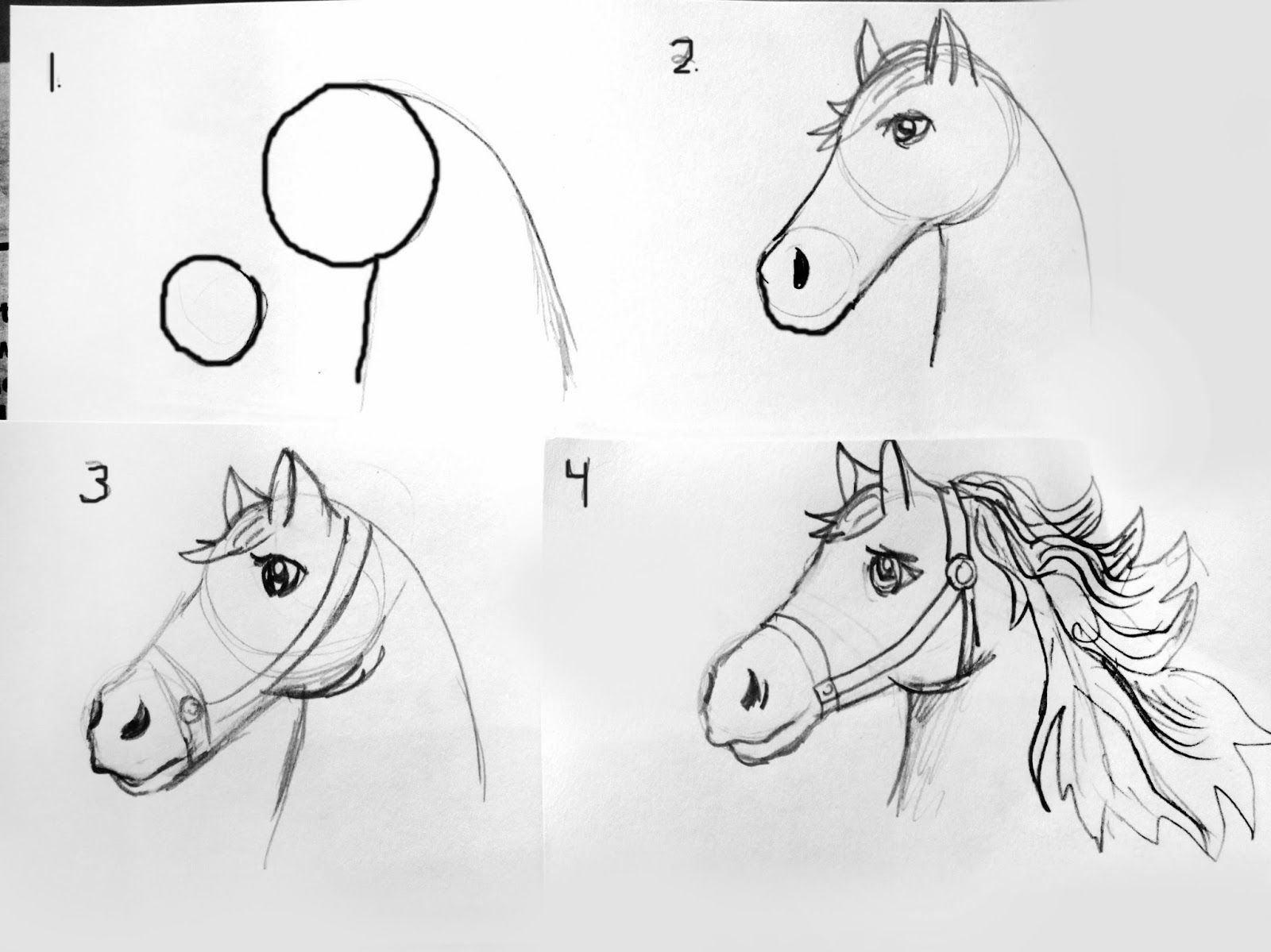 Уроки рисования для начинающих с нуля взрослых. Лошадь рисунок. Рисунок коня карандашом для срисовки. Лошадь карандашом. Поэтапный рисунок лошади.
