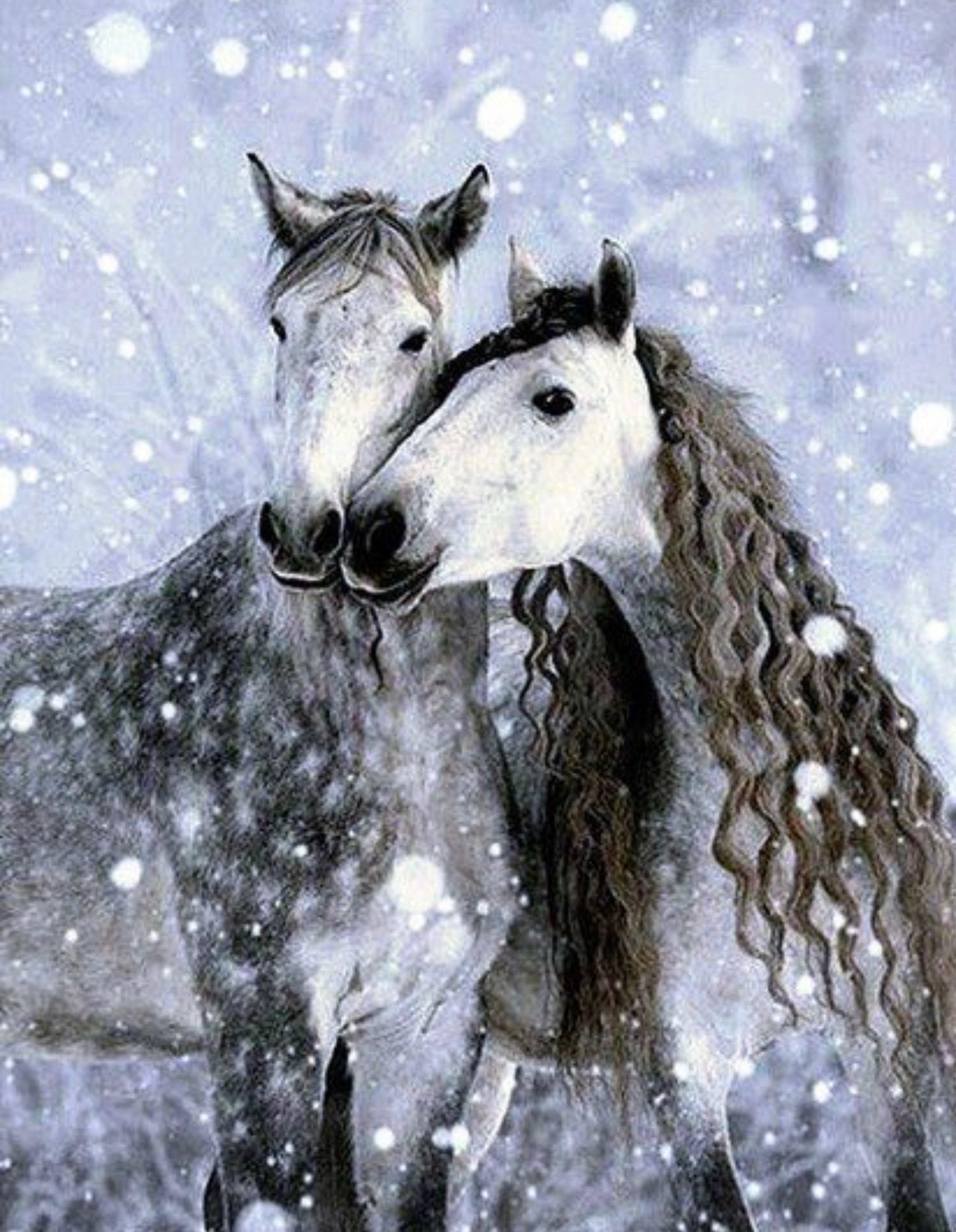 Лошади зимой красивые (32 фото)