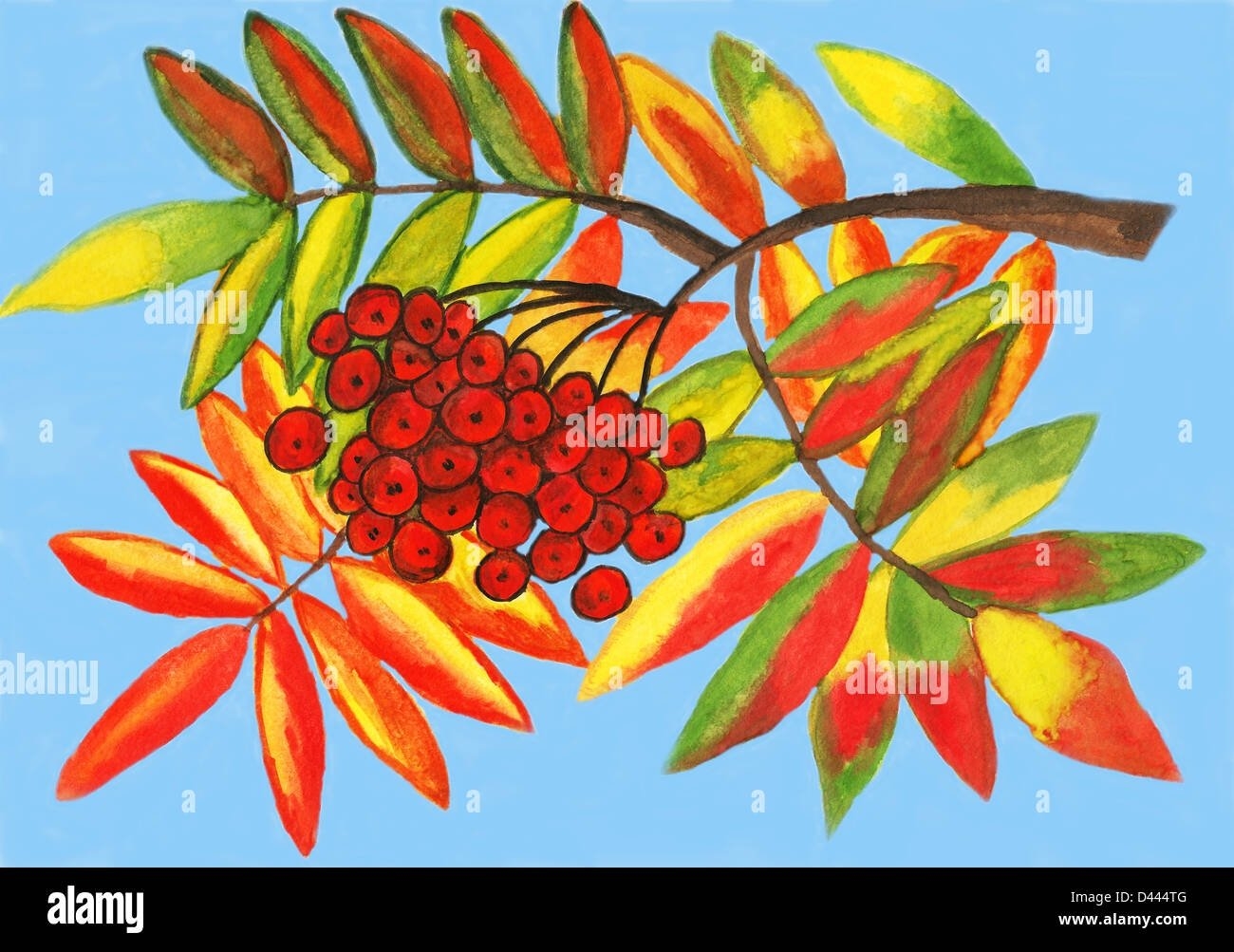 Листья рябины осенью - 51 фото