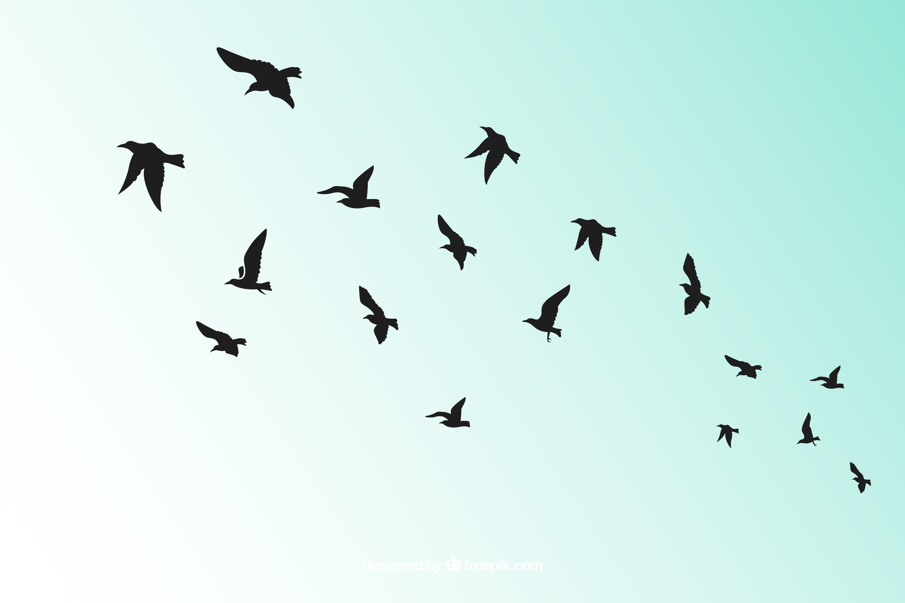 Коллекция летающих птиц (36)