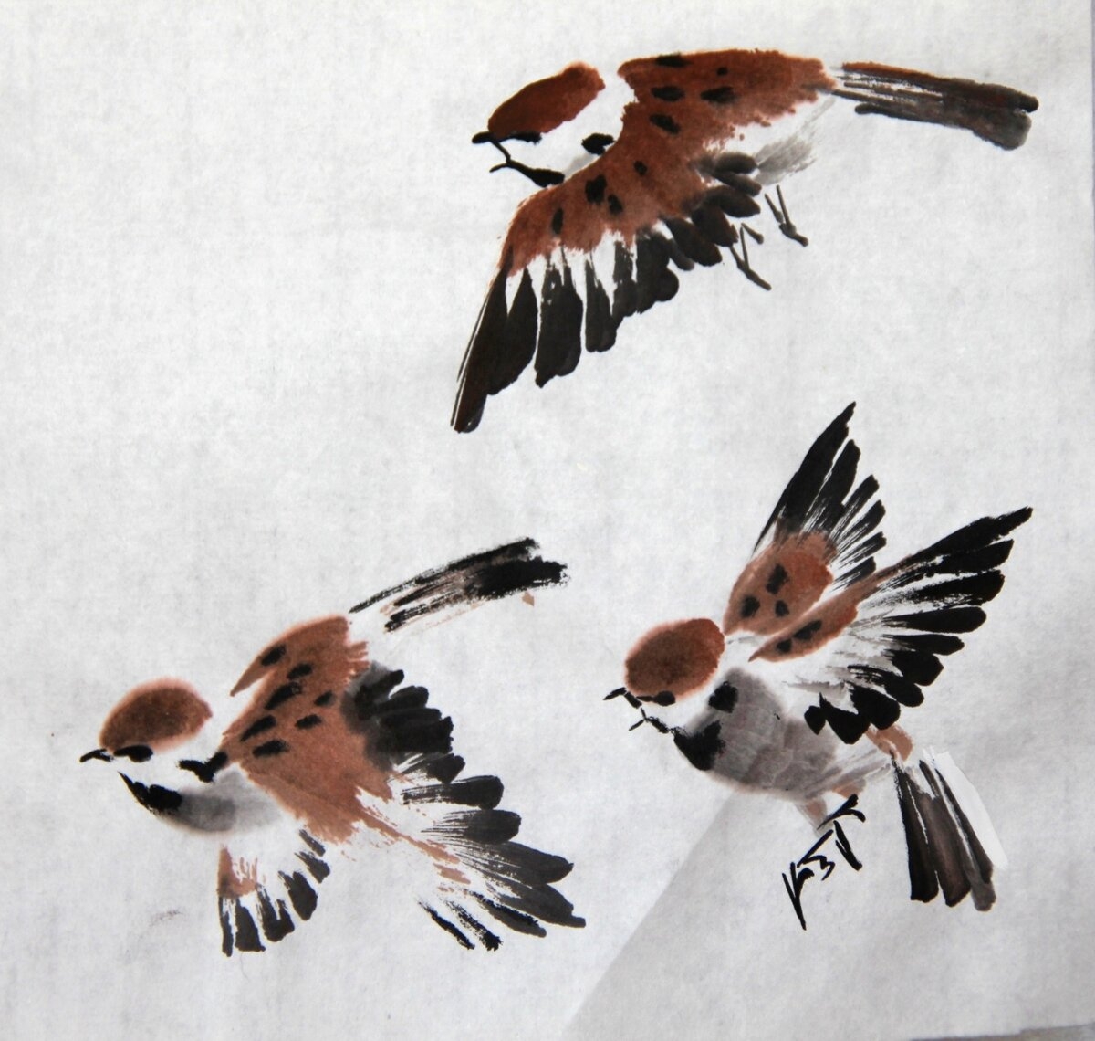Птица маленькая коричневая с хохолком - 71 фото