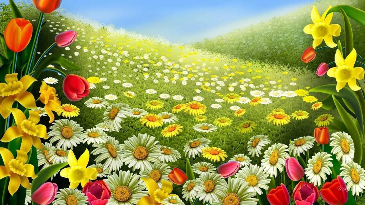 Красивая поляна цветов - 71 фото