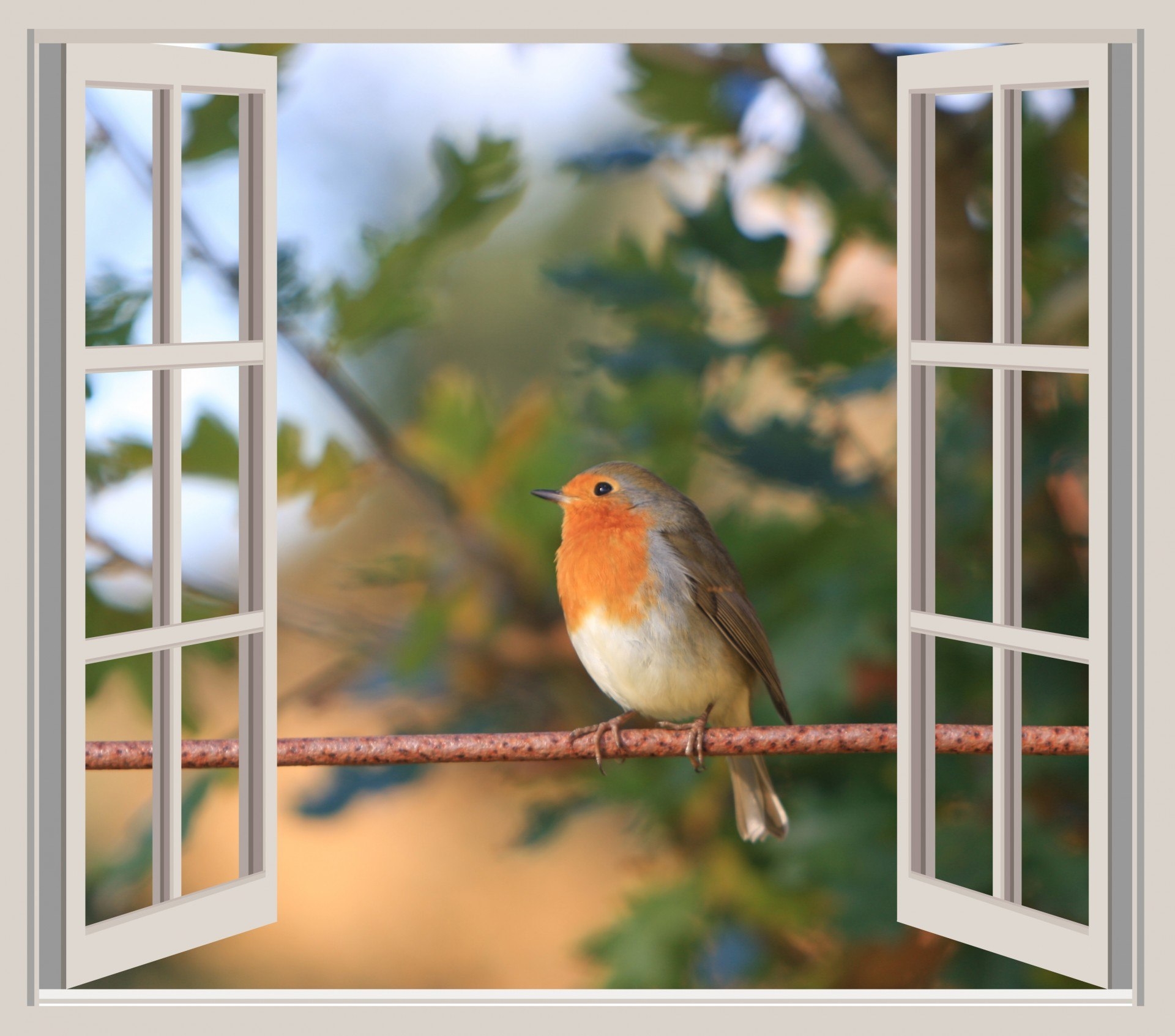Новый рассвет стучится к тебе в окно. Птичка на подоконнике. Птицы на окна. Птички за окном.