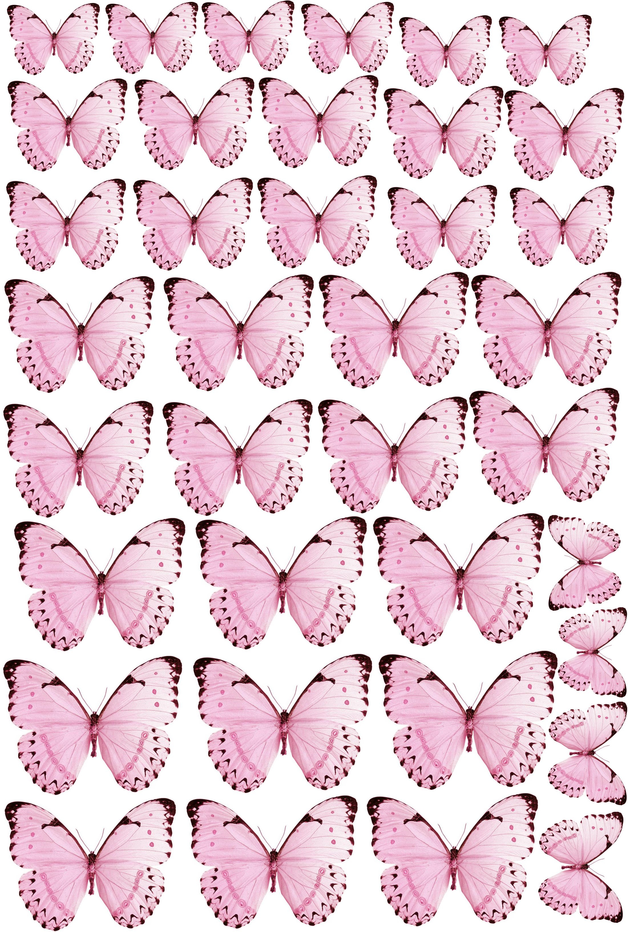 Бабочки из бумаги фото | Простые поделки из бумаги, Бумажный цветок, Бумажная бабочка
