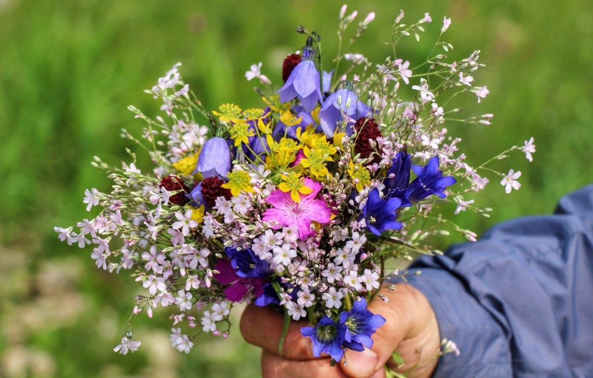 Шикарный букет полевых цветов - 78 фото