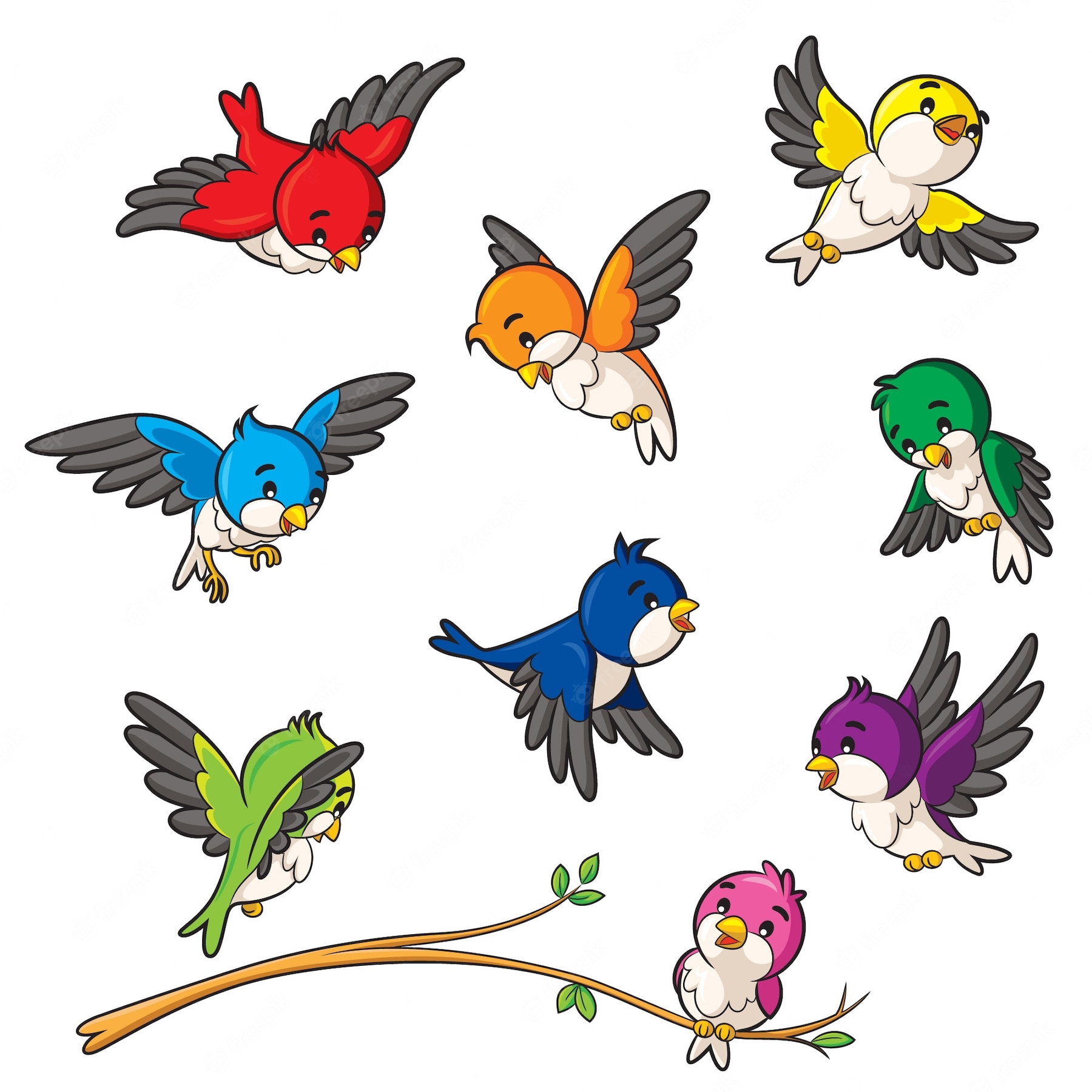 птицы картинки с названием для детей, карточки Домана