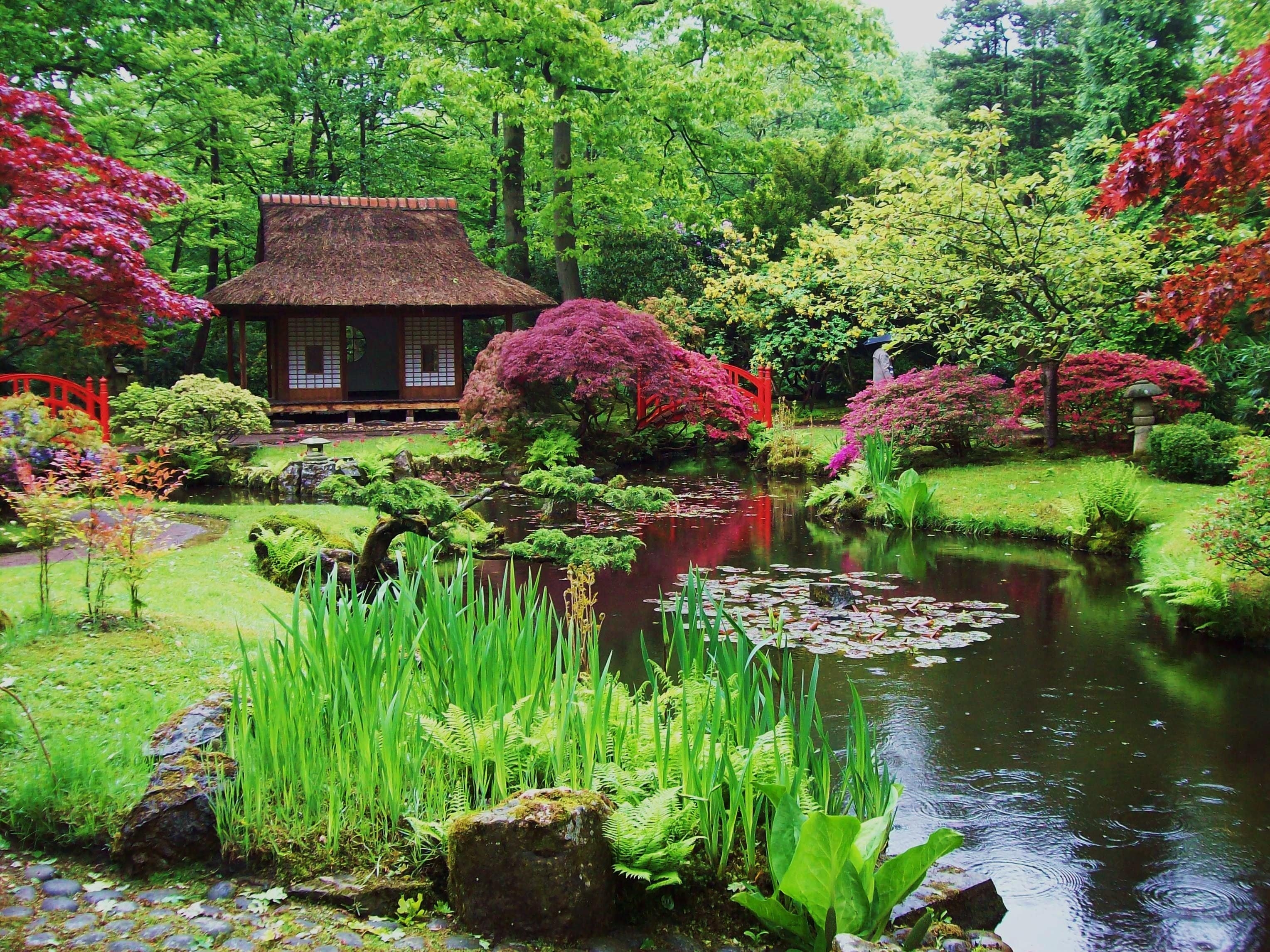 Японский сад (65 фото)