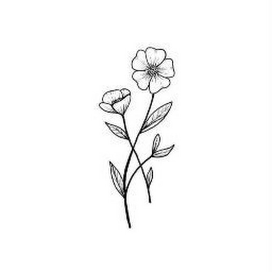 Белые небольшие цветы - 55 фото