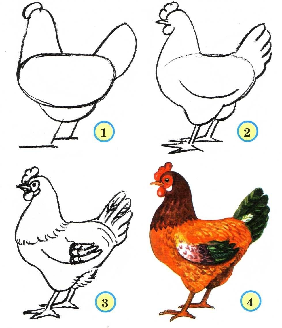 Раскраски Домашние птицы для детей 6 7 лет (37 шт.) - скачать или распечатать бесплатно #