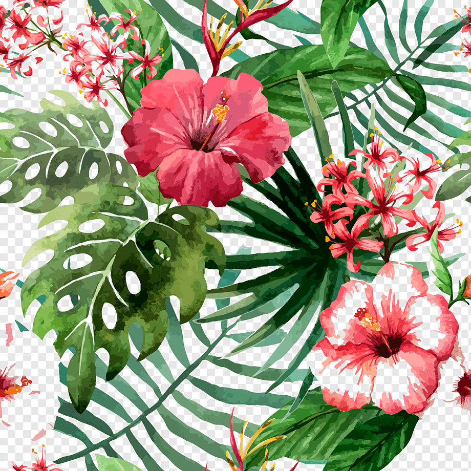 Тропические цветы - 65 фото