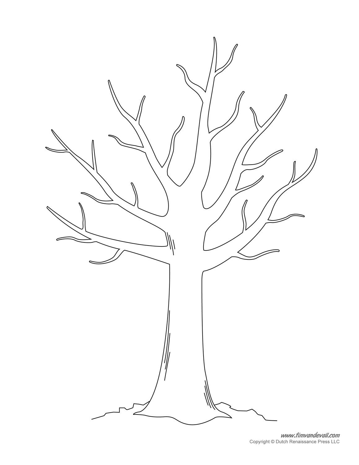 Бесплатные раскраски Листья деревьев. Распечатать раскраски бесплатно и скачать раскраски онлайн.