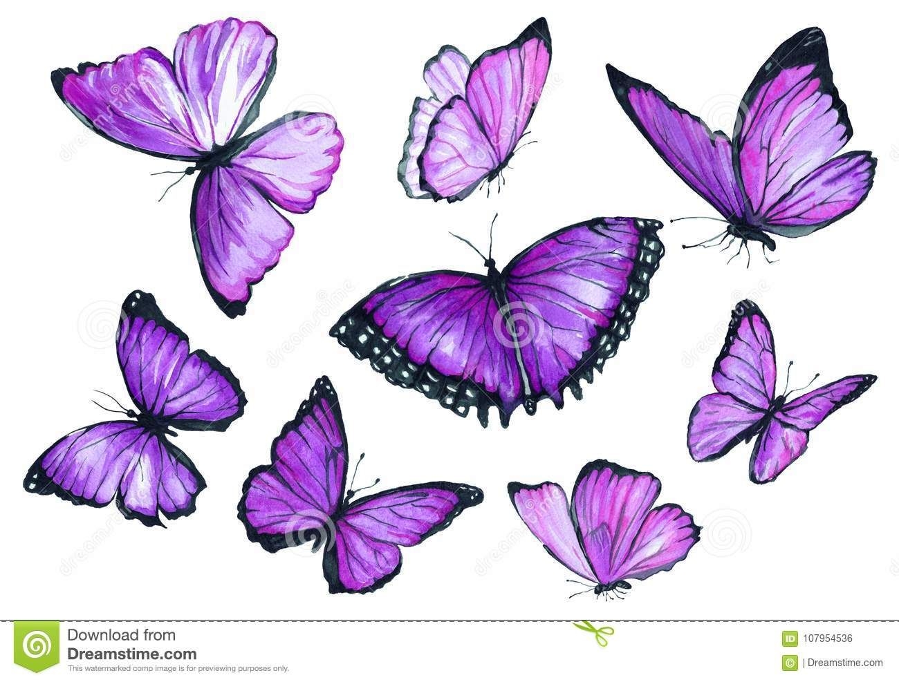 Фиолетовые бабочки цветы - 65 фото