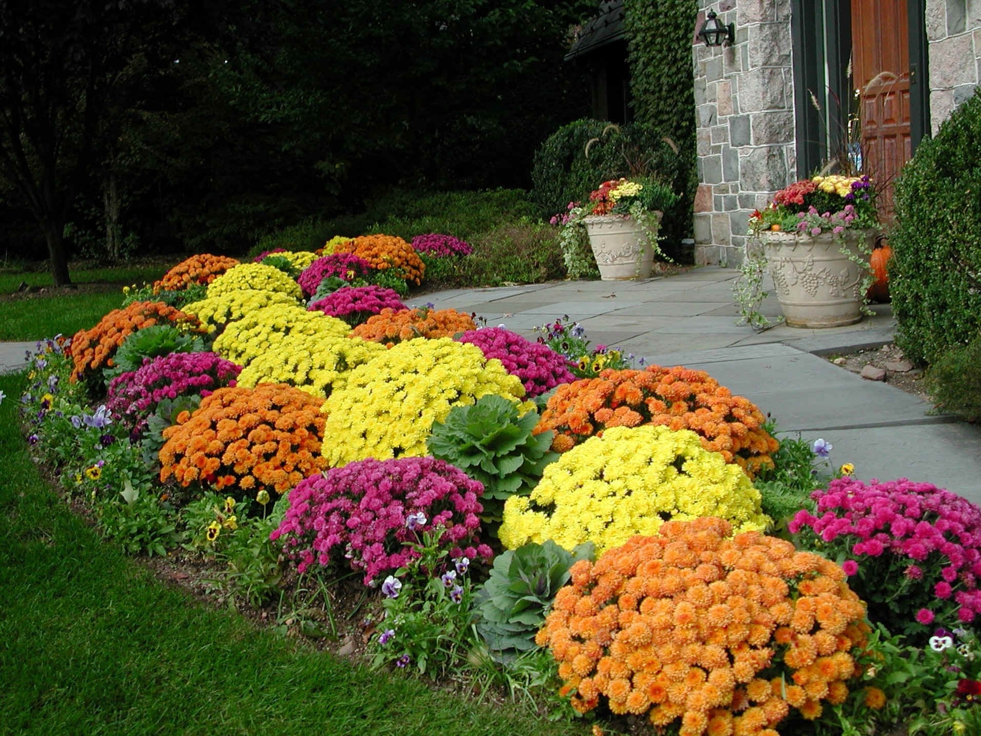 Как сделать самостоятельно клумбу с многолетними цветами на даче: посадка цветников