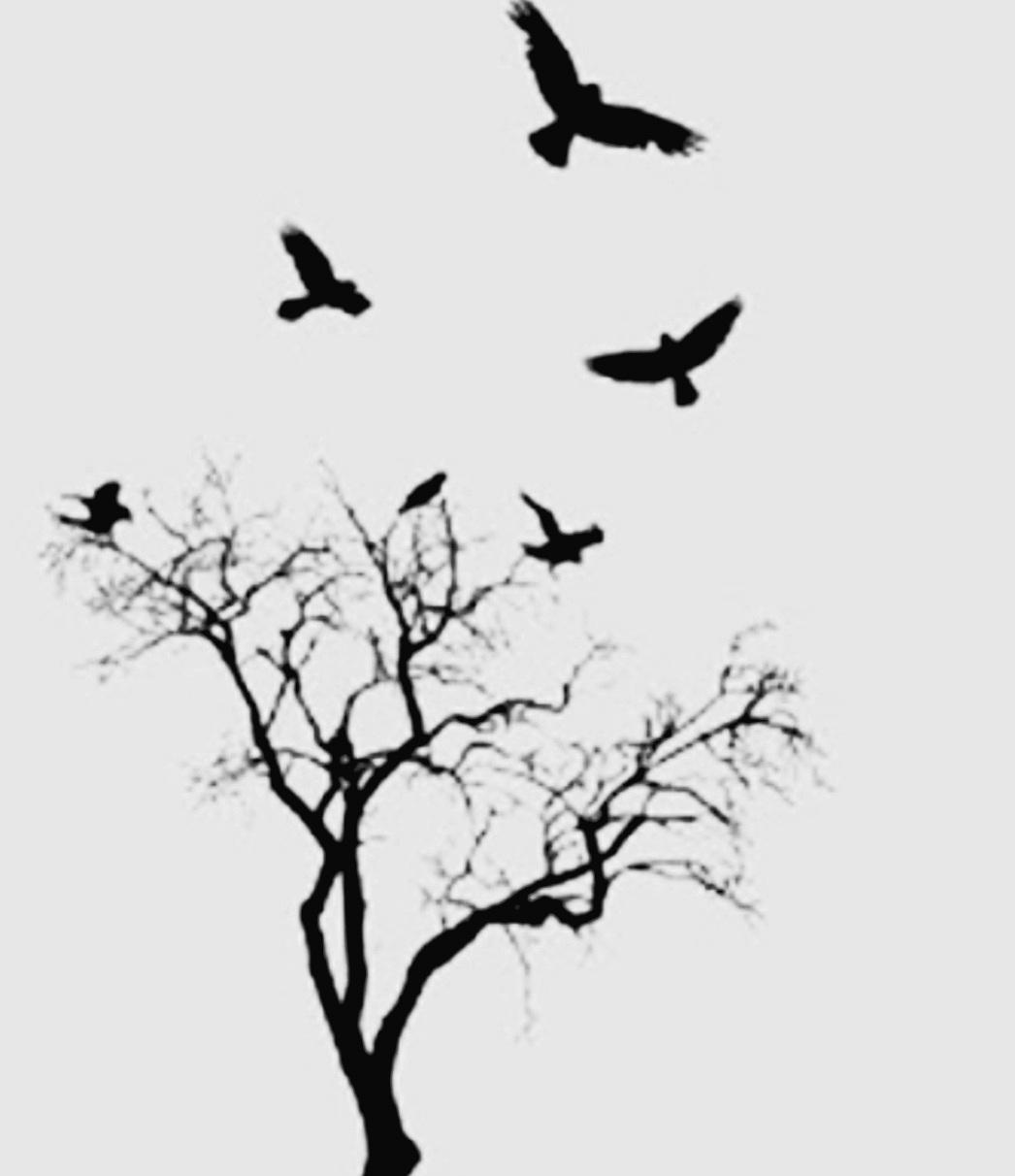 Дерево елка с птицами в стиле «треш полька» на предплечье парня