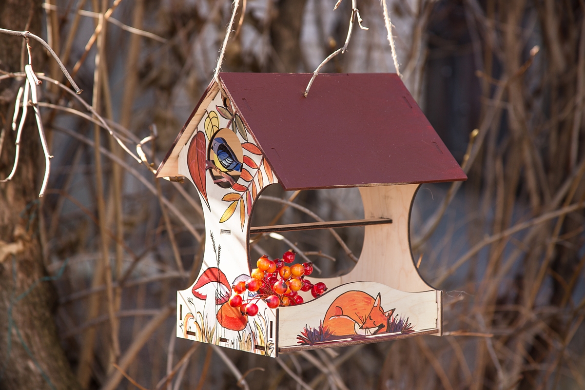 Кормушка для птиц своими руками: фото идеи из пластиковых бутылок, дерева, картонной коробки