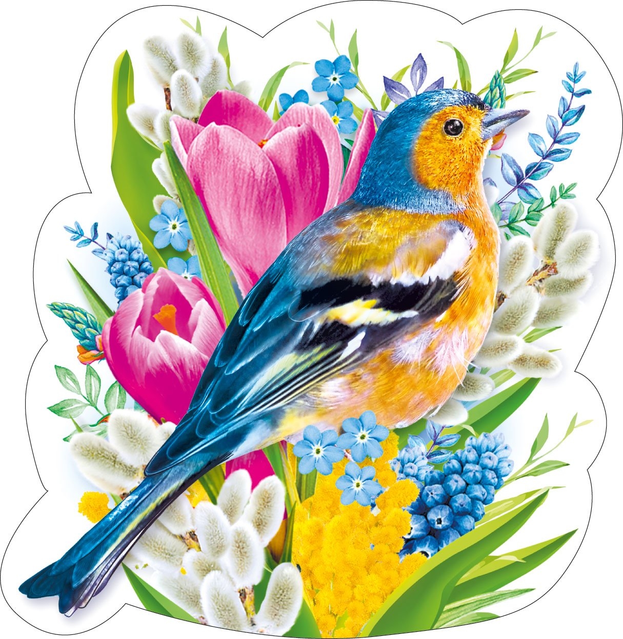Картинки птичек для детей в детском саду. Весенние птицы. Красивые рисунки птиц. Весенние цветы и птицы. Весенние рисунки.