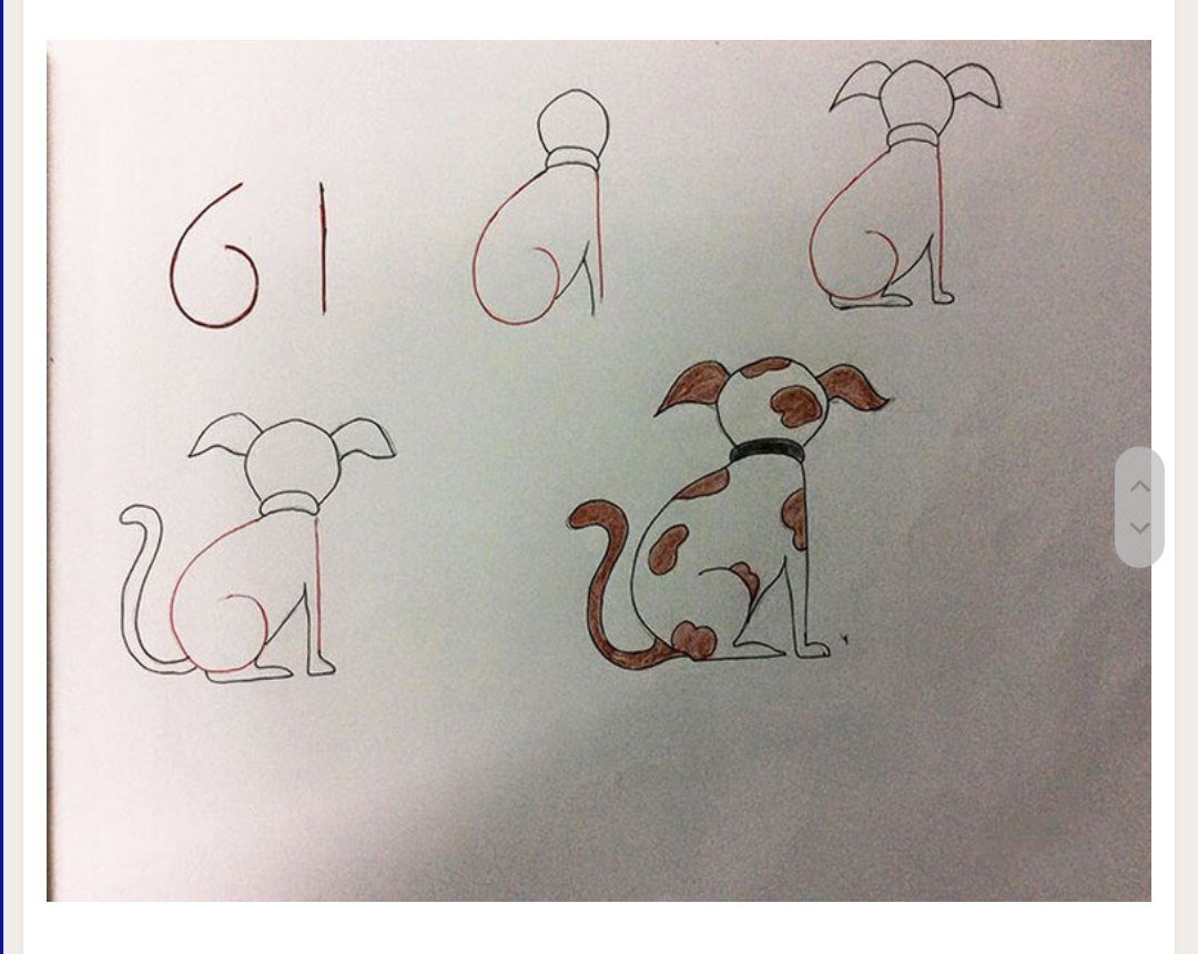 Рисунки из цифр животные