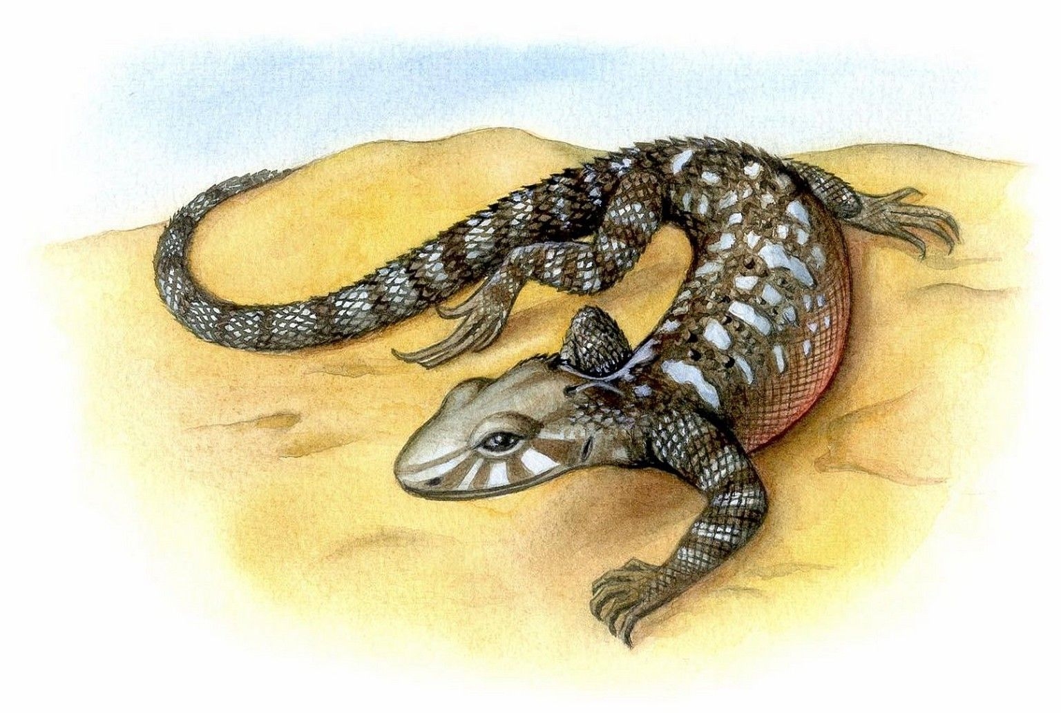 Крокодилы хамелеон