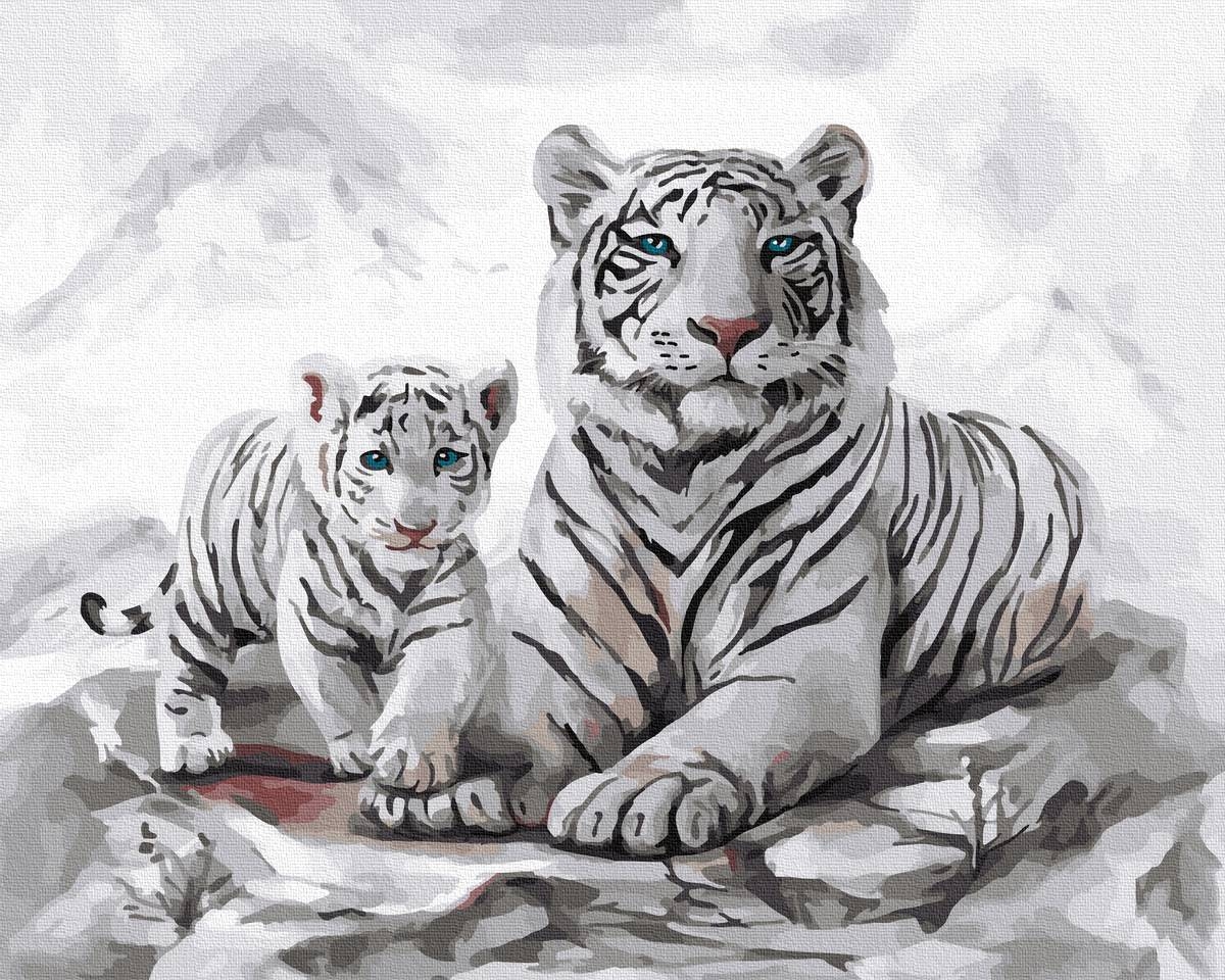 Раскраска белый тигр