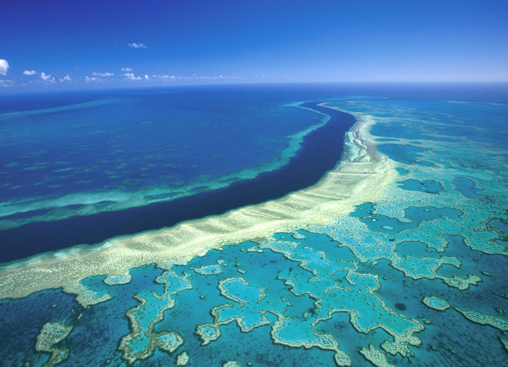 Поверхность воды тихого океана. Великий Барьерный риф Австралия. Коралловый Барьерный риф в Австралии. Большой Барьерный риф (the great Barrier Reef). Большой Барьерный риф (ББР), Австралия.