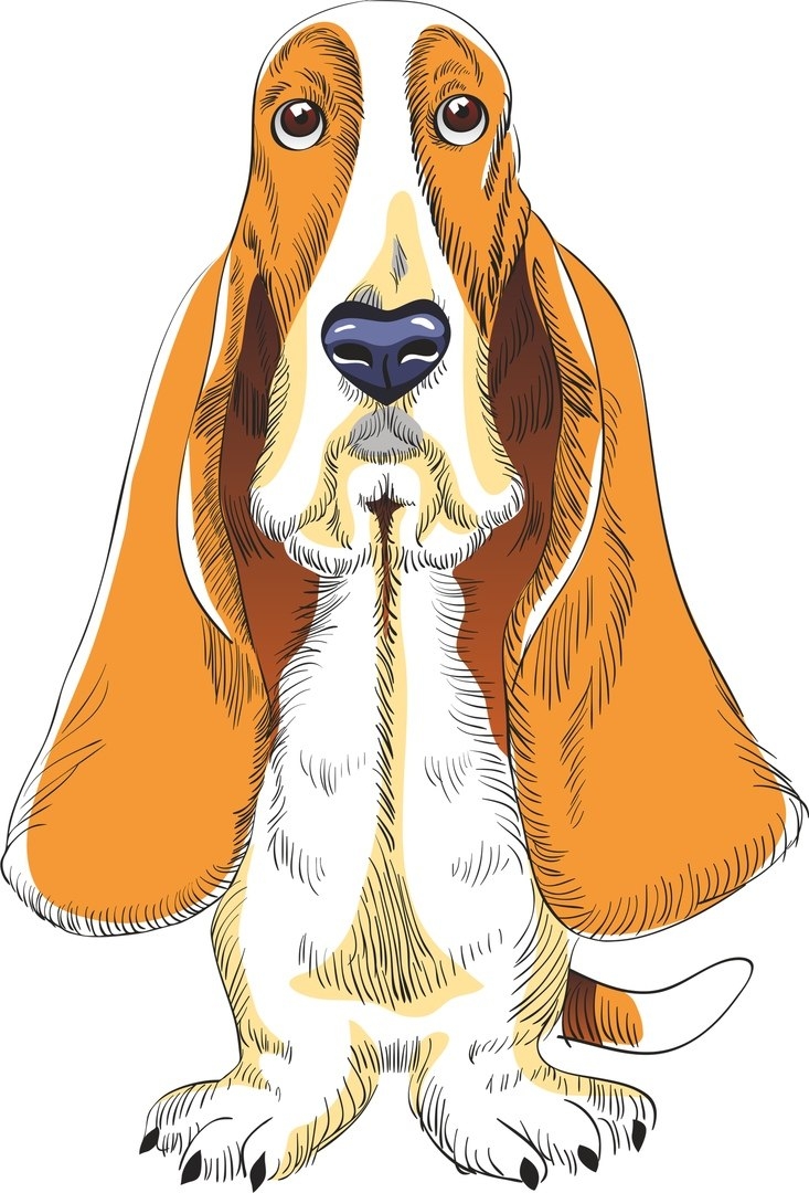 Мультяшная собака с длинными ушами