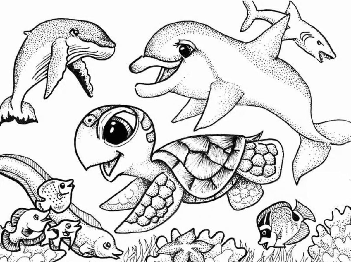 Раскраска УМка Морские животные Водная