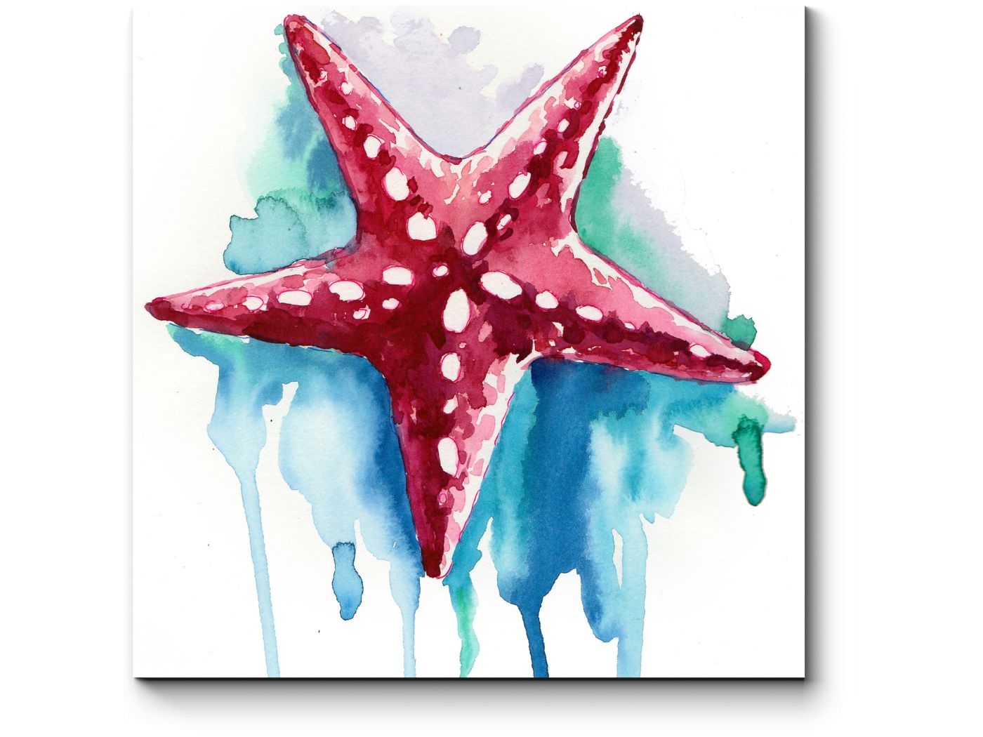 Раскраски для мальчиков бесплатно Морские звезды