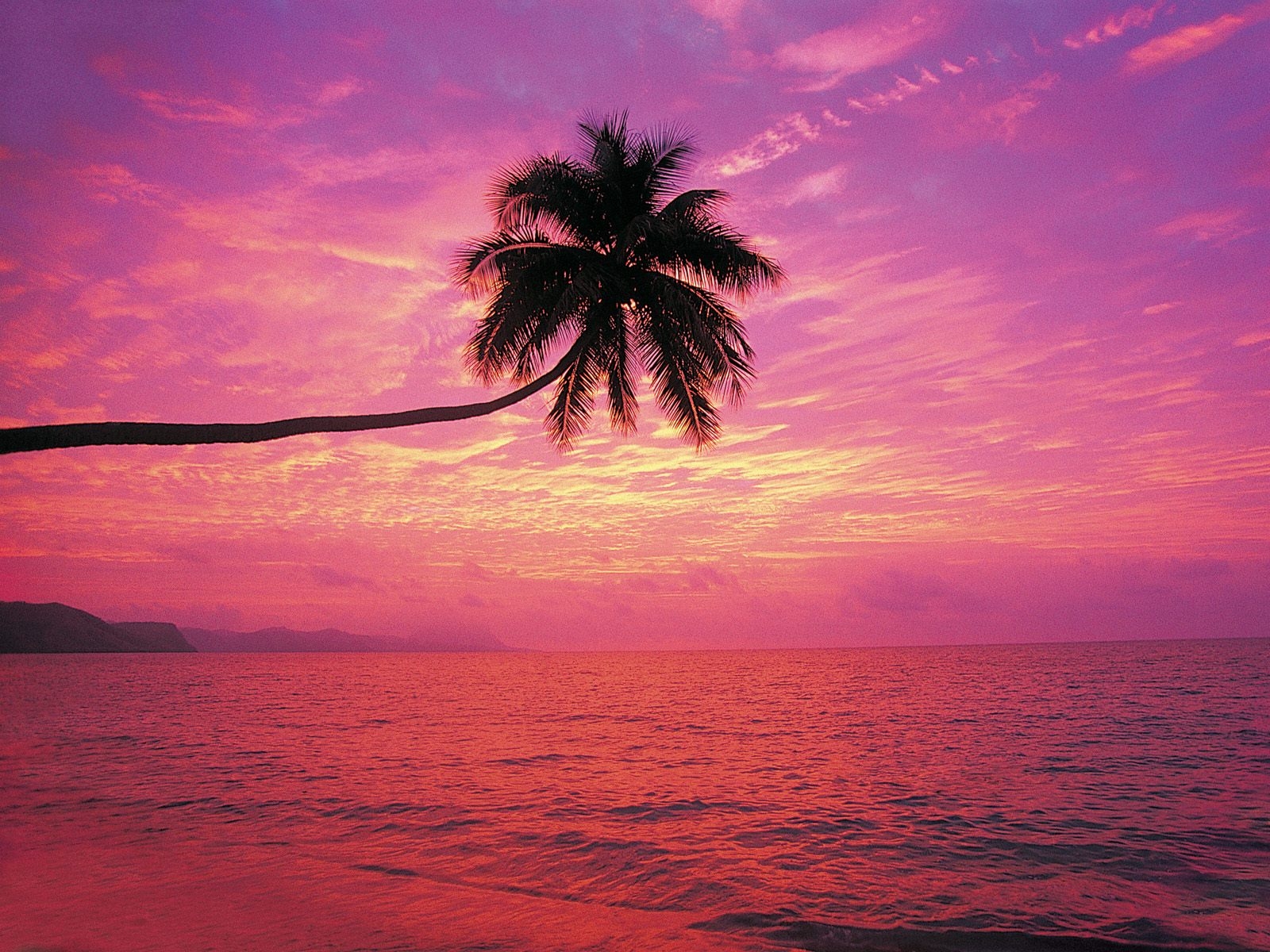Море розовый закат - 65 фото