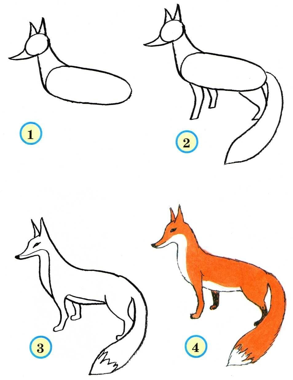 Как нарисовать собаку | Рисунок собаки породы сенбернар