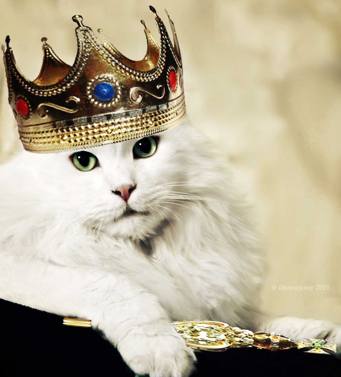 Коты-короли Tokuhiro Kawai. Кошка в короне. Кошка с короной на голове. Кот в короне