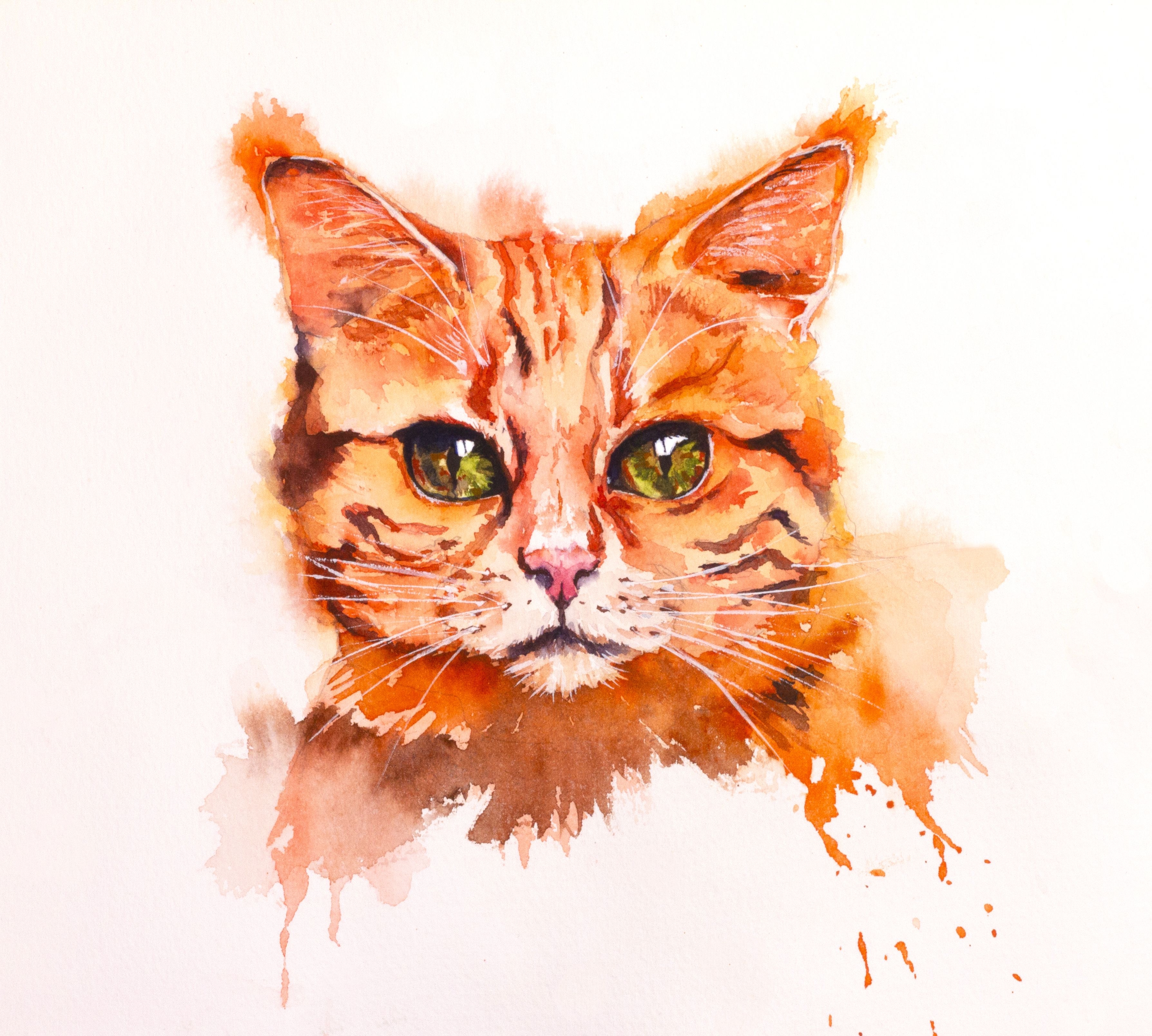 Милые рисунки легкие кошки - 68 фото