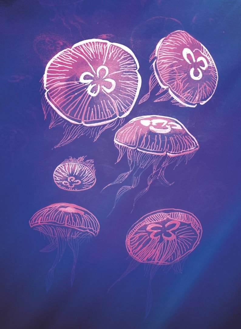 Биологи узнали, как медузы восстанавливают свои щупальца в рекордные сроки