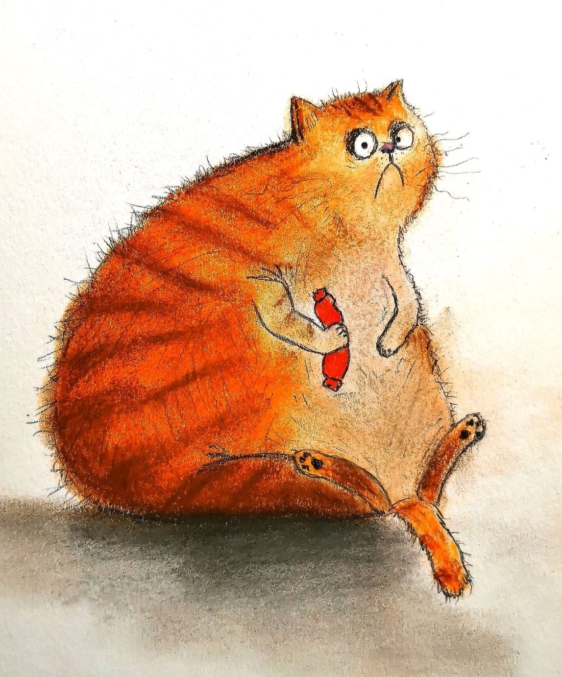 Толстый котик рисунок - 73 фото