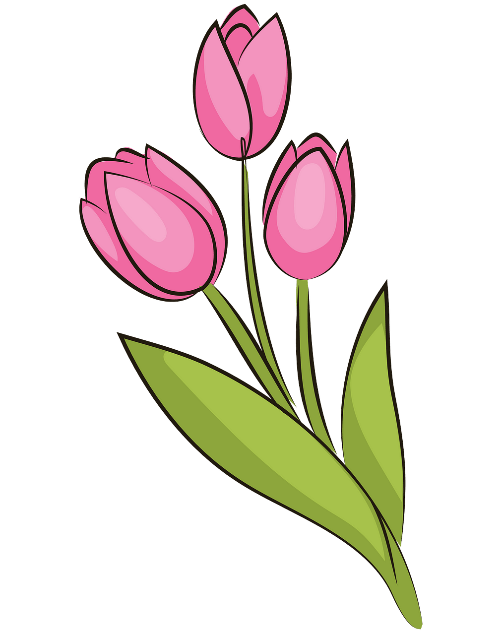 цветок тюльпан картинка для детей