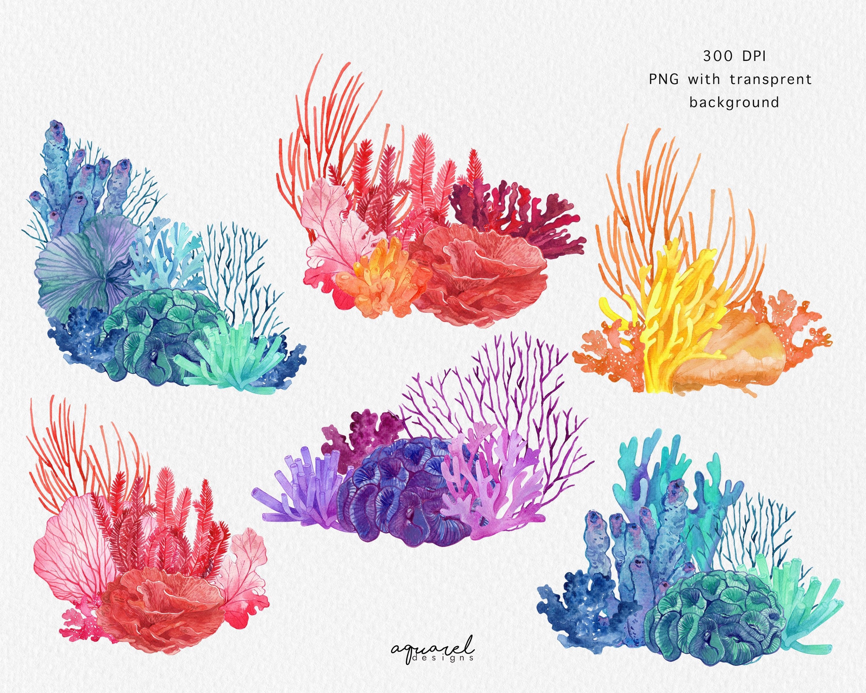 Кораллы раскраска для детей
