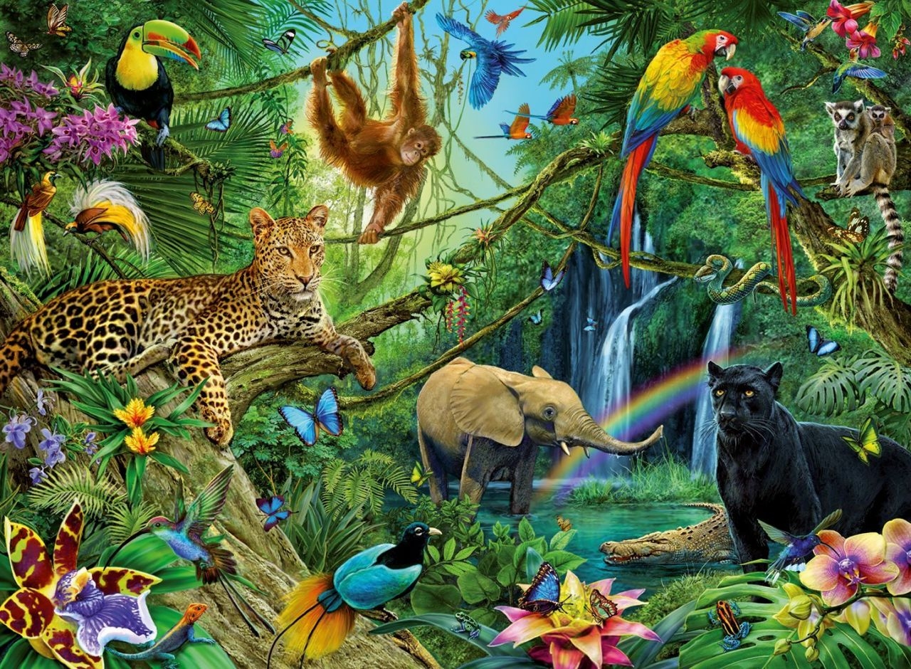 Раскраски Раскраска Животные джунглей , Раскраски .