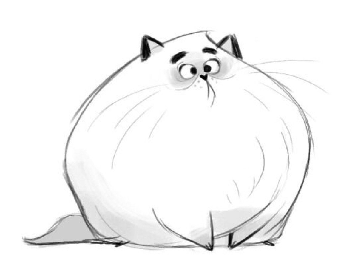 Милый толстый котик рисунок - 75 фото