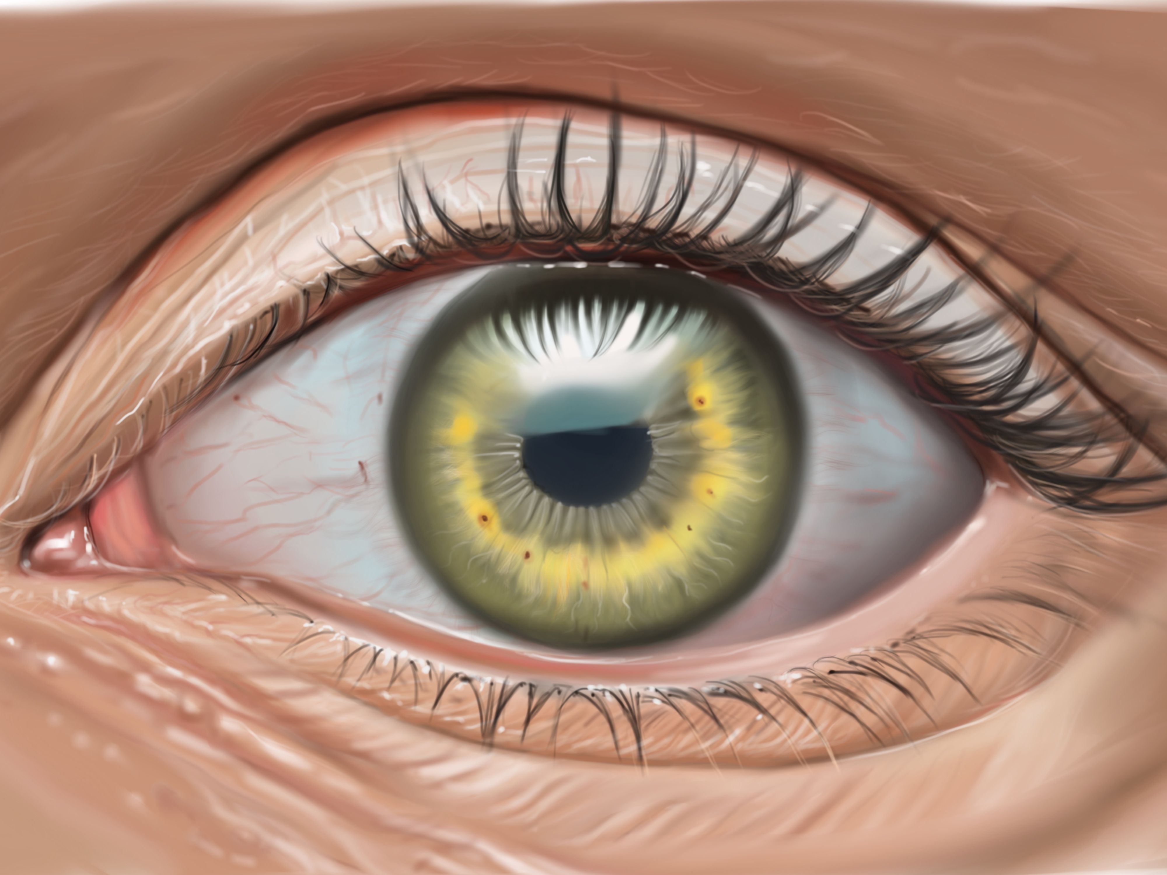 Желтый глаз 13. Глаза рисунок. Красивые глаза рисунок. Глаз человека рисунок. Отражение в глазах рисунок.