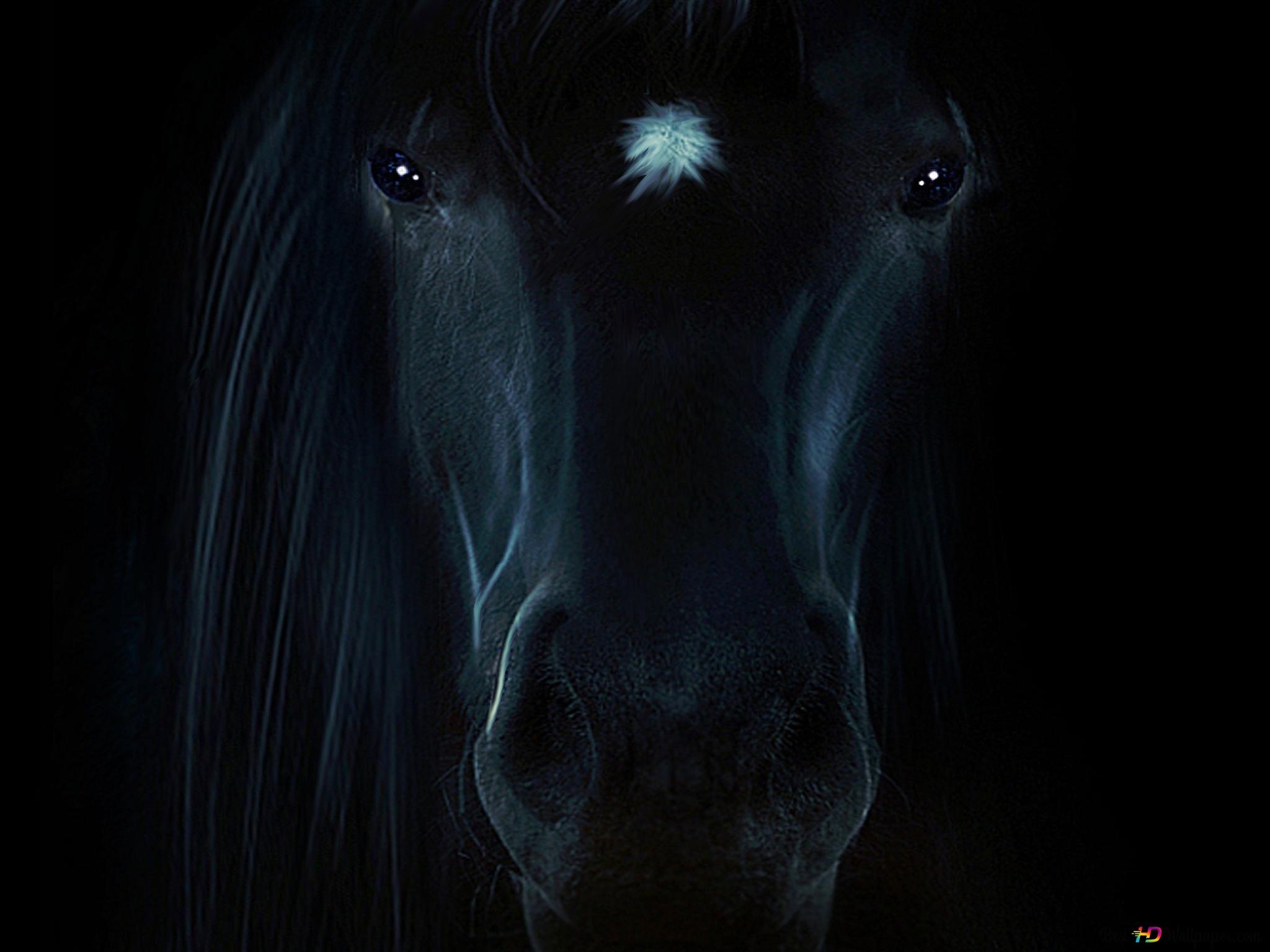 Черный конь с красными глазами - 75 фото