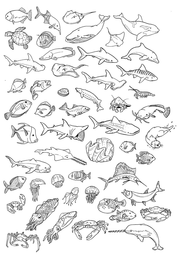 Раскраски рыбок и морских обитателей для малышей