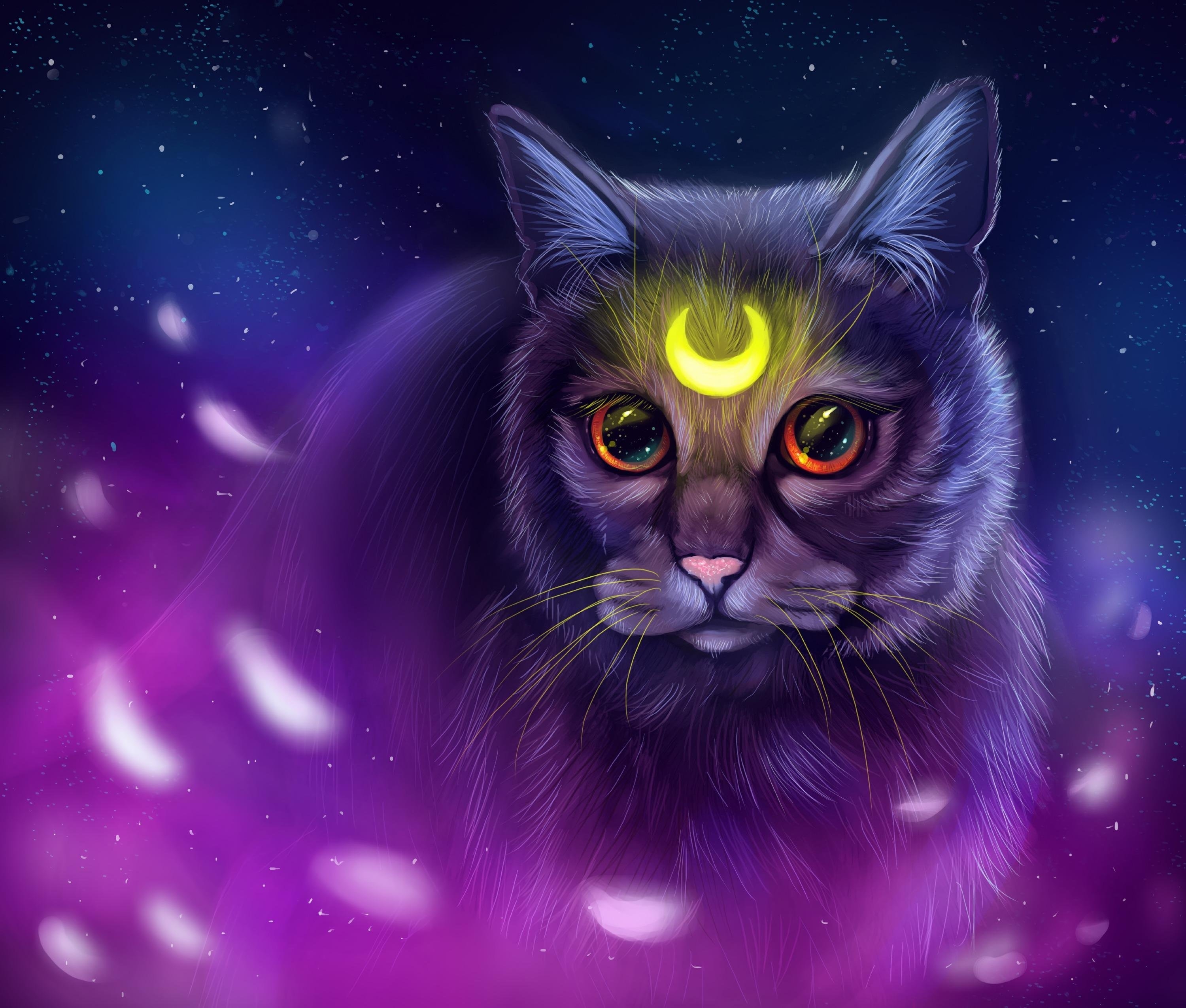 Кот с фиолетовыми глазами - 79 фото