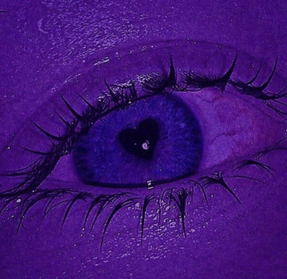 Обои фиолетовый цвет (65 фото)