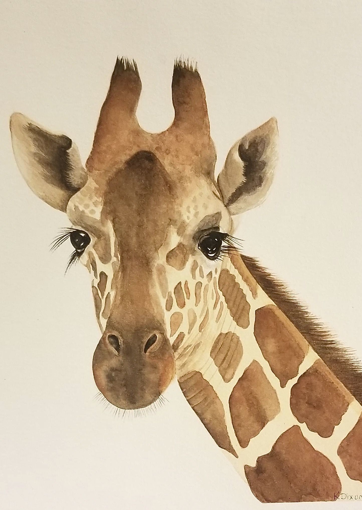 Глаза жирафа - 67 фото