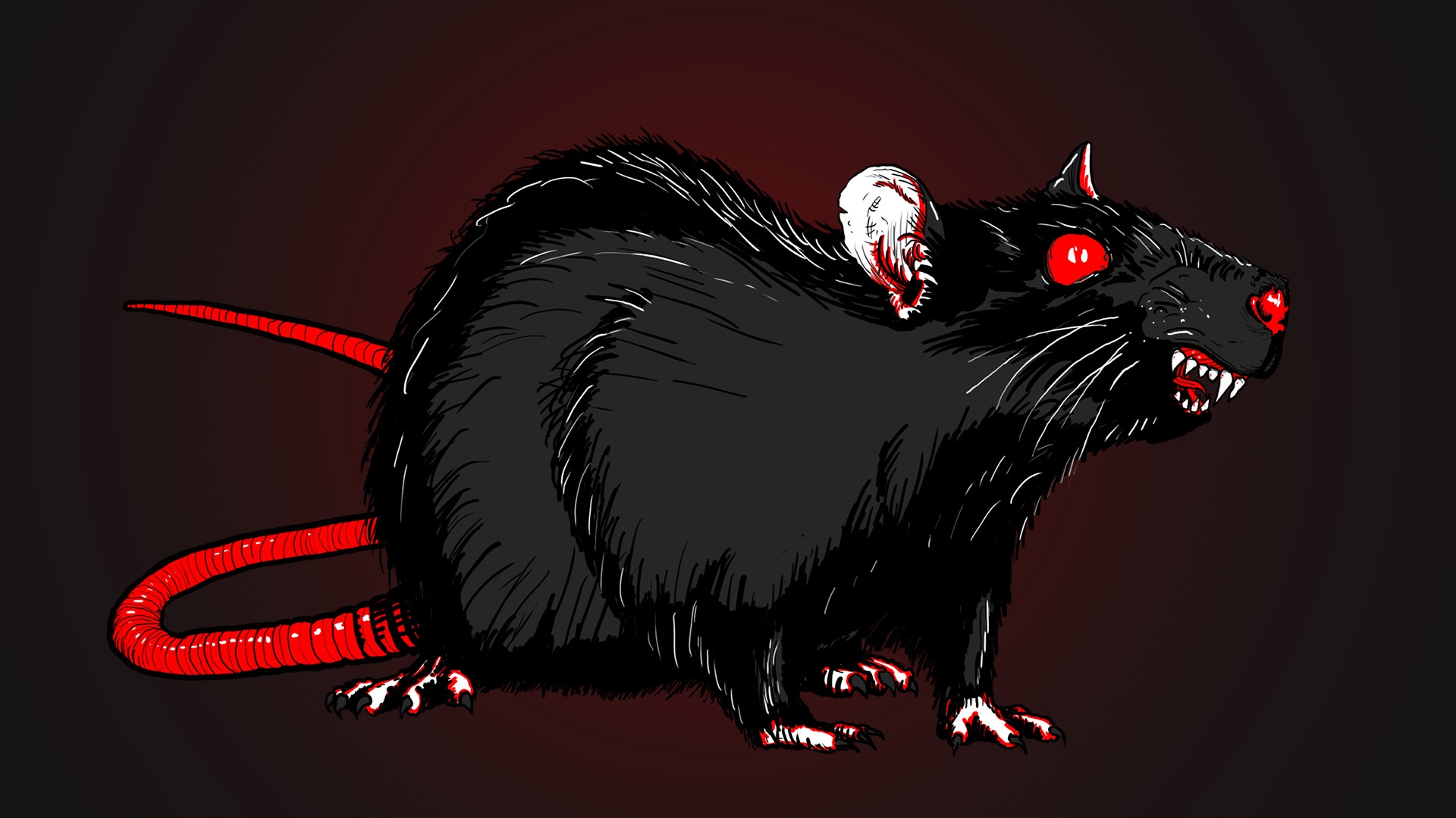 Черная крыса с красными глазами - 67 фото